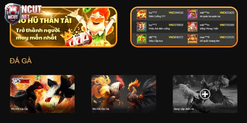 I9Bet - Khám phá sân chơi cá cược trực tuyến hàng đầu 2024 4 Đá gà i9Bet hấp dẫn có tỷ lệ ăn thưởng lớn