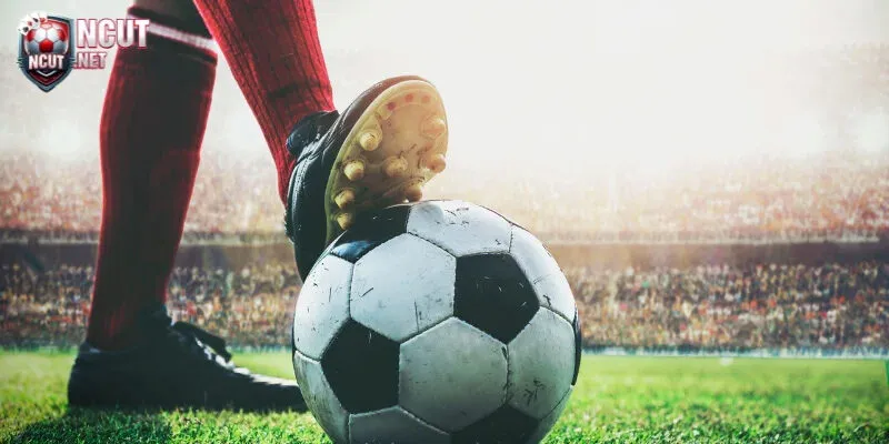 Bật mí bí quyết đọc kèo Châu Âu từ chuyên gia