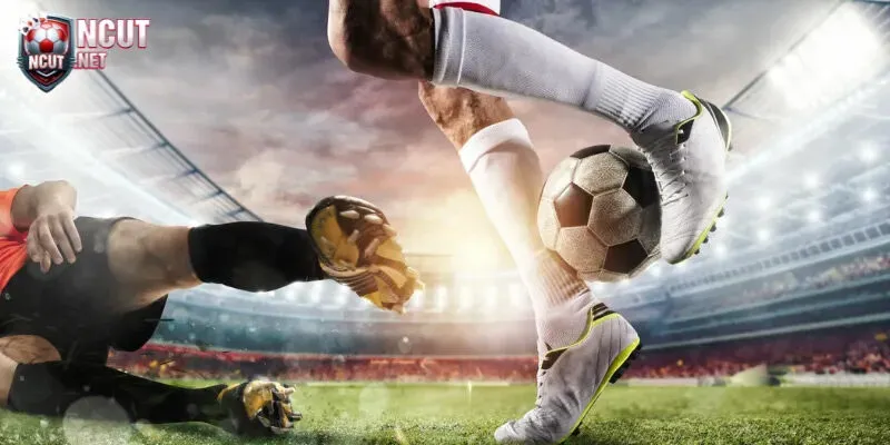 Cách đọc kèo Châu Á cực đơn giản gửi tân binh tìm hiểu 3 Đọc kèo chấp nửa