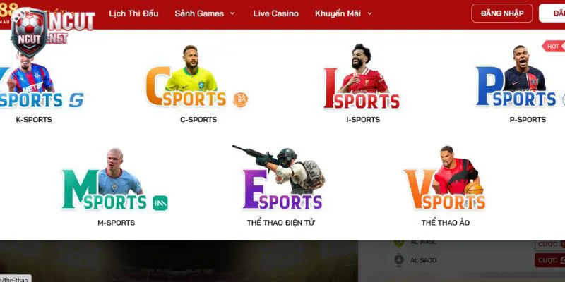 RED88 - Khám phá thế giới cá cược uy tín hàng đầu châu Âu 3 Cá cược Esports tại Red88